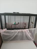Vogel met de kooi, Ophalen, Zo goed als nieuw, Vogelkooi
