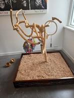 Papegaaienboom XXL mahoniehout houtsnijwerk verrijdbaar zgan, Dieren en Toebehoren, Vogels | Toebehoren, Ophalen, Zo goed als nieuw