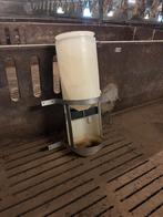 Voorraad bakken voor varkens.  10 stuks, Dieren en Toebehoren, Ophalen, Vee