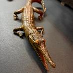 Antieke opgezette taxidermie gaviaal krokodil kaaiman, Ophalen of Verzenden, Zo goed als nieuw, Opgezet dier