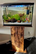 60L Aquarium met standaard en grind (zonder visjes), Vis