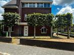 Volwassen Leilinde bomen - 4 stuks, Tuin en Terras, Planten | Bomen, Ophalen, Volle zon, Leiboom, 400 cm of meer