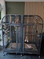 Montana dubbele papagaaienkooi Palace antique, Dieren en Toebehoren, Ophalen, Zo goed als nieuw, Metaal, Vogelkooi