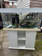 Leeg aquarium met filter & kast, Ophalen of Verzenden, Zo goed als nieuw, Leeg aquarium