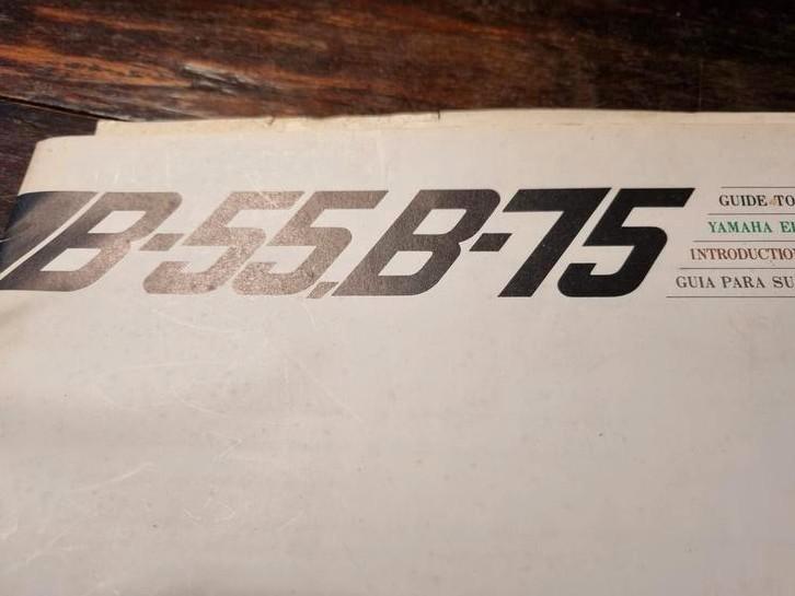 Yamaha Electone B55 B-75, Muziek en Instrumenten, Orgels, Gebruikt, Orgel, 2 klavieren, Ophalen of Verzenden