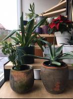 Diverse vintage terracotta grote bloempotten binnen overpot, Tuin en Terras, Bloempotten, Rond, Binnen, Ophalen of Verzenden, Zo goed als nieuw