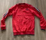 WE rode trui maat 170-176, Kinderen en Baby's, Kinderkleding | Maat 170, Ophalen of Verzenden, Zo goed als nieuw, Jongen, Trui of Vest