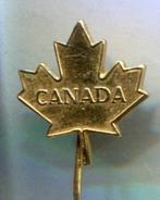 Canada Maple Leaf koper speldje ( T_119a ), Verzamelen, Nieuw, Speldje of Pin, Stad of Land, Verzenden