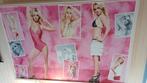 bedrukt kunststof Britney Spears merchandise, Ophalen, Gebruikt, Poster, Artwork of Schilderij