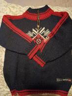 Dale of Norway Kinderen Trui Maat 104/110 wollen, Kinderen en Baby's, Kinderkleding | Maat 104, Ophalen of Verzenden, Zo goed als nieuw