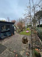 Volkstuin te koop velsen noord, Ophalen, Volle zon, Overige soorten