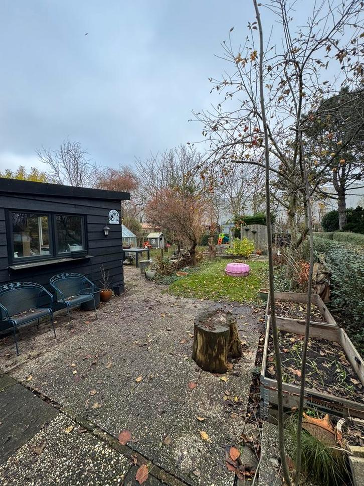 Volkstuin te koop velsen noord, Tuin en Terras, Planten | Bomen, Overige soorten, Volle zon, Ophalen