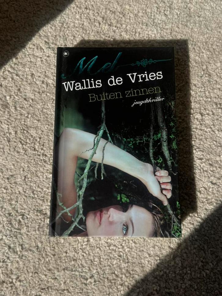 Mel Wallis de Vries - Buiten zinnen, Boeken, Kinderboeken | Jeugd | 13 jaar en ouder, Zo goed als nieuw, Ophalen of Verzenden