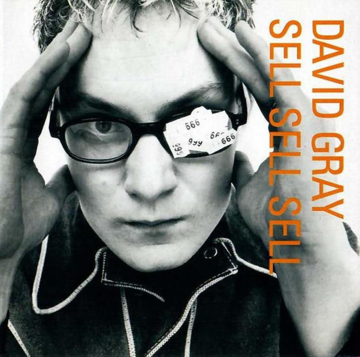 DAVID GRAY CD SELL SELL SELL, Cd's en Dvd's, Cd's | Pop, Gebruikt, 1980 tot 2000, Ophalen of Verzenden