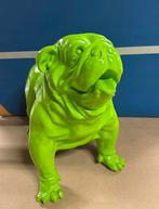 Groene Bulldog Beeld - Kunststof, Ophalen, Zo goed als nieuw, Dier