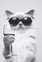 Kat gezocht voor ons gezin, Dieren en Toebehoren, Poes