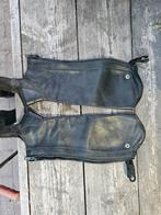 Ariat Concord chaps maat s, Dieren en Toebehoren, Paardrijkleding, Ophalen of Verzenden, Schoeisel
