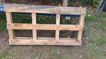 Pallet droge en schone  beschikbaar voor biedingen