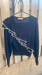 Twinset trui maat m, Kleding | Dames, Ophalen of Verzenden, Zo goed als nieuw, Maat 38/40 (M)