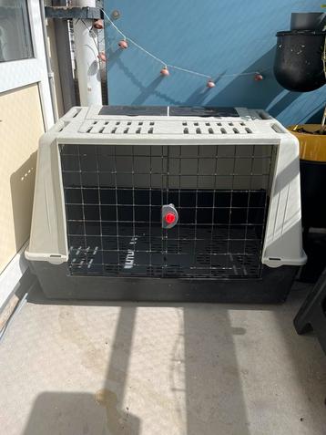 Honden reisbenche beschikbaar voor biedingen