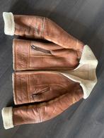 Lammy kort model S/M camel bruin creme winterjas, Kleding | Dames, Jassen | Winter, Ophalen of Verzenden, Gedragen, Maat 38/40 (M)