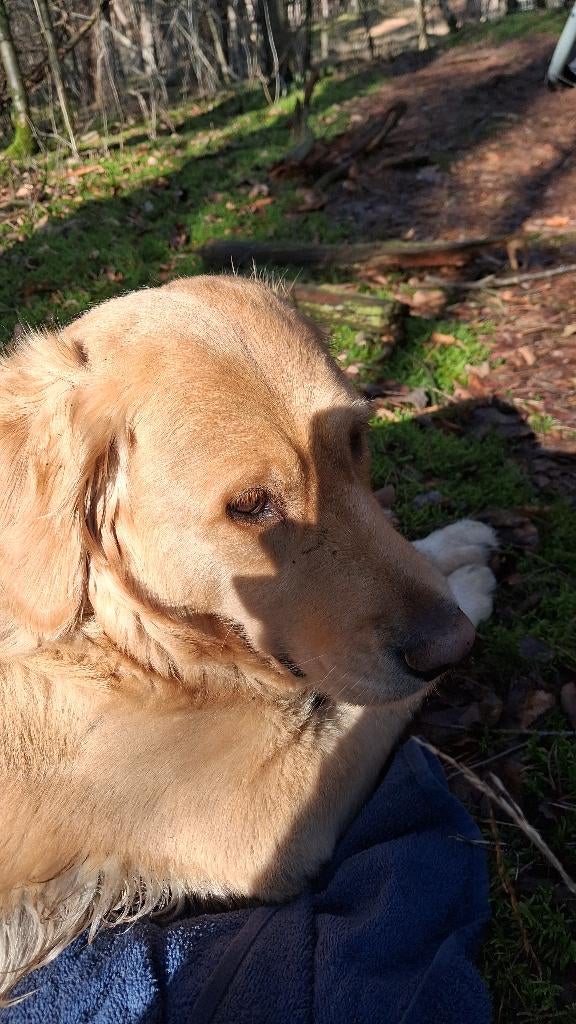 Advies reizen naar malta, Contacten en Berichten, Advies en Oproepen