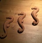 3 zeepaardjes terra cotta kleur keramiek, Antiek en Kunst, Antiek | Keramiek en Aardewerk, Ophalen
