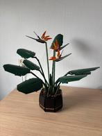 Lego 10289 Bird of paradise paradijsvogelplant, Ophalen, Zo goed als nieuw