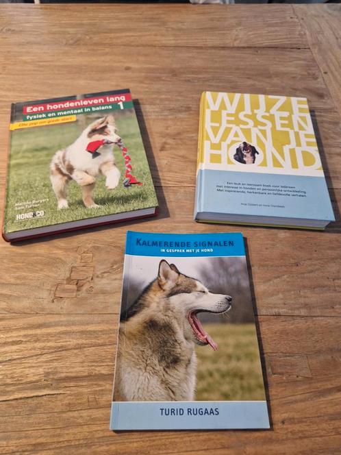 T. Rugaas - Kalmerende Signalen, Boeken, Dieren en Huisdieren, Zo goed als nieuw, Honden, Ophalen of Verzenden