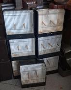 Kleine tentoonstellings vogelkooi nog 40 stuks, Dieren en Toebehoren, Ophalen, Zo goed als nieuw, Hout, Vogelkooi