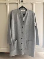 Mooi Sibin Linnebjerg merino vest, S. Ongedragen, Ophalen of Verzenden, Nieuw, Maat 38/40 (M), Grijs