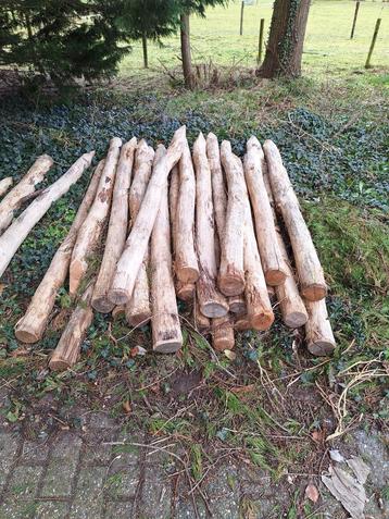 40 Tuinpalen of weidepalen 200cm 10-12cm doorsnee beschikbaar voor biedingen