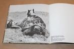 Het verhaal van... Frederik de muis. Uitgave 1967., Ophalen, Gelezen, Honden