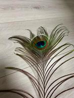 Lange pauwenveer, Ophalen, Nieuw