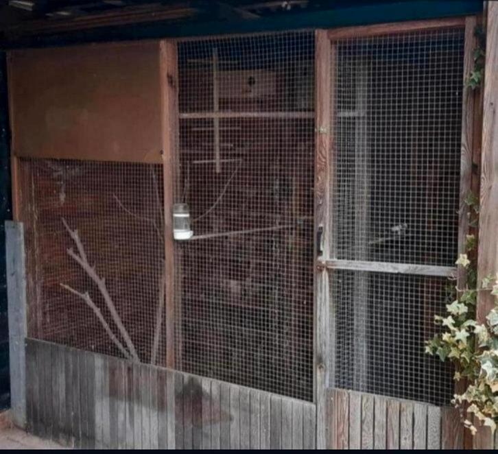 Voliére met sluisje geïnpregneerd, Dieren en Toebehoren, Vogels | Hokken en Kooien, Gebruikt, Volière, Hout, Ophalen