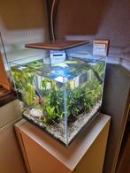 Superfish Qubiq 30 Pro aquarium, Dieren en Toebehoren, Ophalen of Verzenden, Zo goed als nieuw