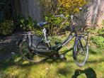 Omafiets met transportrek Pelikaan - framemaat 57 - 28 ich, 56 cm of meer, Ophalen, Gebruikt, Pelikaan