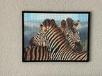 Diamond painting schilderij Zebra’s in lijst, Ophalen of Verzenden, Schilderij, Minder dan 50 cm