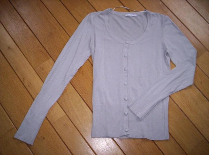 H&M vest grijs maat M - nieuw -, Kleding | Dames, Truien en Vesten, Nieuw, Maat 38/40 (M), Grijs, Ophalen of Verzenden