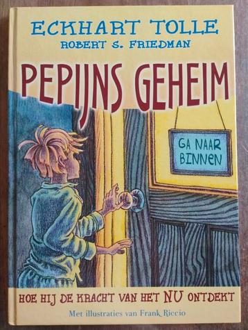 R.S. Friedman - Pepijns geheim beschikbaar voor biedingen