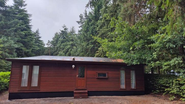 Chalet 11x4 op Camping De Flaasbloem – 2 slpk – Instapklaar, Huizen en Kamers, Recreatiewoningen te koop