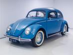 Volkswagen Kever Brilkever | 1951 | Concoursstaat | Zeldzaam, Auto's, Stof, Bedrijf, Handgeschakeld, Blauw