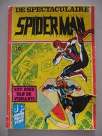 De Spectaculaire Spiderman. Het boek van de Vishanti., Boeken, Gelezen, Ophalen of Verzenden, Eén stripboek