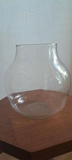 Glazen Vaas / Terrarium, Ophalen of Verzenden