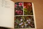 Giftige planten in en om huis | J.W. de Bruyn F. Schneider, Ophalen of Verzenden, Gelezen, Bloemen, Planten en Bomen