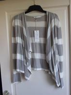 Articles nieuw gestreept vestje wit/grijs maat 36, Kleding | Dames, Overige kleuren, Nieuw, Ophalen of Verzenden, Articles