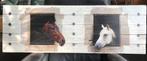 Paarden op hout, Ophalen, Zo goed als nieuw, Schilderij, Minder dan 50 cm