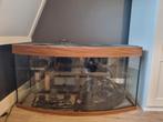 Juwel vision 260, Dieren en Toebehoren, Ophalen of Verzenden, Gebruikt, Leeg aquarium