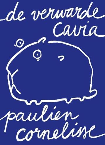 De verwarde cavia beschikbaar voor biedingen