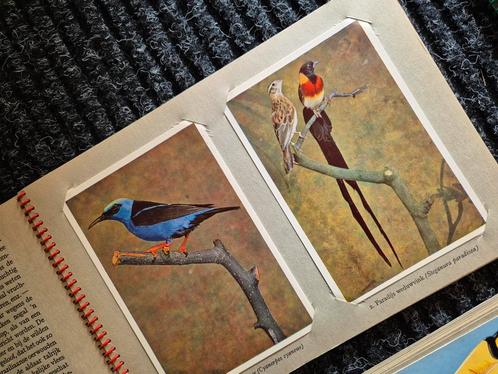 Vogelboeken, Boeken, Prentenboeken en Plaatjesalbums, Verzenden